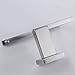 Topfox SUS 304 Stainless Steel Bathroom Toilet Paper Roll Holder Wall Mount Roll Holder (Silver)