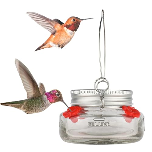 Nature’s Way Vintage Glass Jar Hanging Hummingbird Feeder, 6 oz Nectar Capacity, 4 Flexible...
