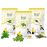 Seeds Cart Italian Herb Trio (Italian Basil + Oregano + Thyme) Planting Seeds Combo | Non-Hybrid, Open Pollinated And Non-GMO | Italian Herb (approx 700) Seed For Farming, Home & kitchen Garden