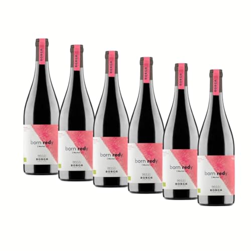 OFERTA VINO TINTO - Merlot Italiano, Vino Tinto Seco, Sabor Equilibrado, Gusto Afrutado, Redondo, Biologico 6x750 ml