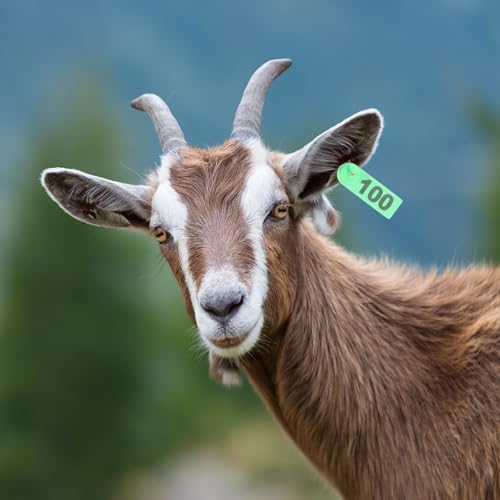Pince à étiquette oreille verte anti-déchirure avec 100 boucles plastiques pour moutons - 4