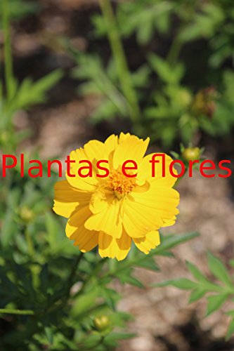 Plantas e flores