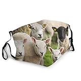 ★ Schutz: Schützen Sie Ihren Mund und Ihr Gesicht vor Staub, Kälte, Staub, Pollen, Allergien, Dunst, Abgasemissionen, Passivrauchen usw. Der M-förmige Nasenclip erreicht die beste Passform und verhindert das Beschlagen beim Tragen einer Maske während des Brillentragens. Modernes Design, maximale Belüftung