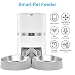 WellToBe Automatic Cat Feeder Setting Up