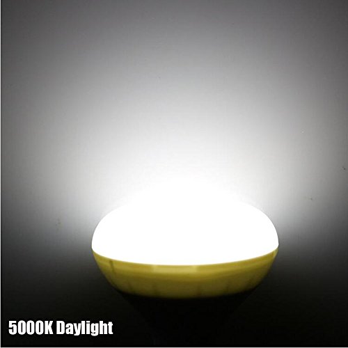Rysa Light 10 Pack Br30 Led Bulb,15W (100W Equivalent),5000K (Daylight Glow),1350Lm,Dimmable, 120 Degree Beam Angle Wide Flood Light Bulb,E26 Base,Ul & Energy Star #TOP5