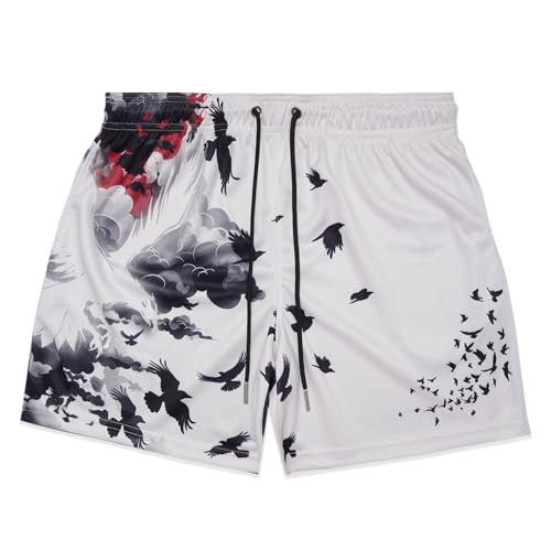 BOOMLEMON Mens Mesh Graphic Shorts Retro Designer Basketball Athletic Shorts Summer Casual Cool Streetwear Short Pants