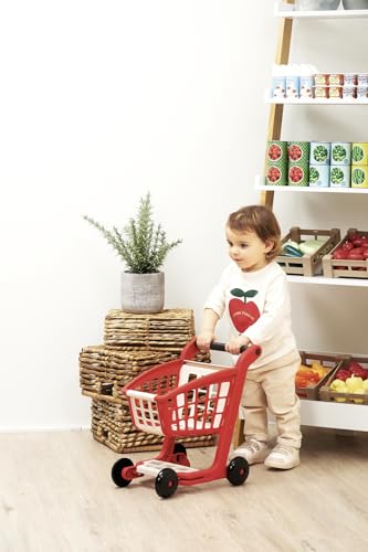 Chariot de supermarché ECOIFFIER avec caisse enregistreuse - vue 8