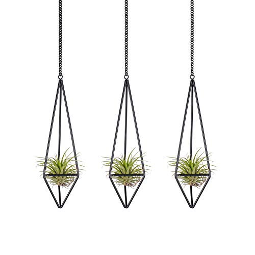 Ecosides 3 PCS Air Plant Holder,Modern Freestanding Metal Himmeli Tillandsia Rack Air Plant Display Geometric Hollow Pyramid Planter with Chain Home Decor for Wall,Ceiling,Black, Small