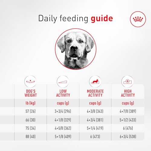 ROYAL CANIN Golden Retriever Adult Dry Dog Food, 30 lb Bag - image 8