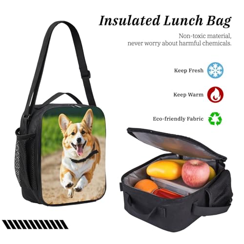 Mochila escolar de corgi EdWal para evitar carga pesada en la espalda 6