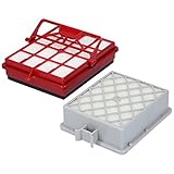 Kenekos 1 x HEPA-Filter rot + 1 x HEPA Motorfilter grau, geeignet für Staubsauger Lux Intelligence