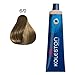 Produktbild 6/0 Koleston Perfect Dunkelblond 60ml