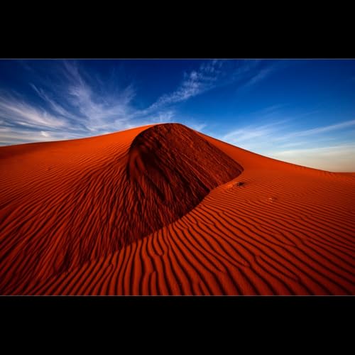 The Typing Indicator