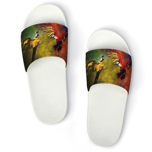 [RFSHOPQQ] �X���b�p ���� �C���R �I�E�� �� ���O�p ���f�B�[�X �����Y ���[���V���[�Y �n�E�X�X���b�p ����~�ߕt �É� �y�� �t�ďH�p �j�����p ���l ���� ���q�p �����p 40(250mm)