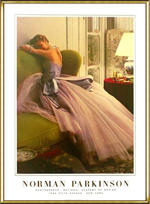 額装品/Evening Dress/ノーマン パーキンソン/アート/ポスター Amazon.co.jp: ポスター ノーマン パーキンソン Evening Dress 額装品