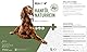 ReaVET Hanföl Kaltgepresst für Hunde & Katzen 1 Liter – Barf Öl aus Kaltpressung in Premiumqualität – Naturreines Futteröl, Premium Hanföl, Naturprodukt Ohne Zusätze