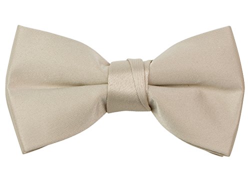Spring Notion Boys' Pre-Tied Banded Satin Bow Tie Small Champagne