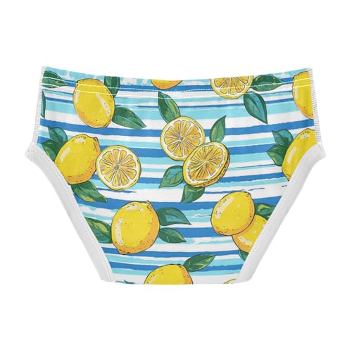 Wusikd Lemons Lemon Slices Boys' Underwear Cotton Blue Stripe Boys Briefs Soft Toddler Underwear 2T2