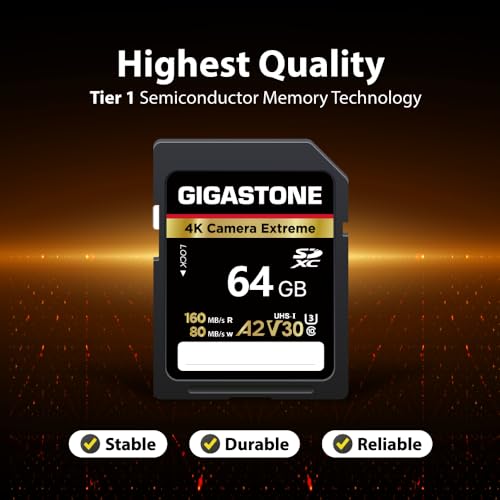 Image of 【5-Years Data Recovery】 GIGASTONE 64GB SD Card 2-Pack + USB C Card Reader