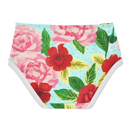 Cotton Girls Underwear Toddlers Red Pink Floral Blue Cute Panties Girl Funny Briefs Kids Undies 2t2