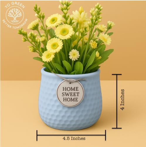 Image of Yo Green Ceramic Plant Pot for Indoor & Outdoor, Modern Planter for Home & Office Decor, Durable, Stylish Finish, Ideal for Tabletop, Shelf, Balcony, Great Gift Idea (Blue, 4 Inches)