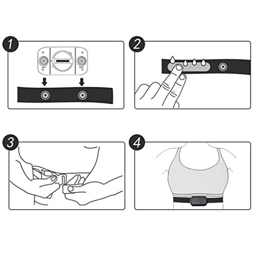 Elastic Heart Rate Chest Belt Strap Band para Monitor de Frecuencia Cardíaca miniatura 2