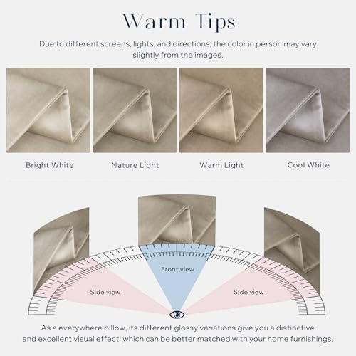 Phantoscope Pack of 2 Velvet Decorative Throw Decorative Pillow Cover Soft Solid Square Cushion Case for Couch Taupe 20 x 20 inches 50 x 50 cm
