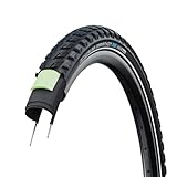 Schwalbe