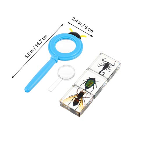 Toyvian Conjunto de Lupa de Amostra de Resina de Insetos 4 PeÃ§as Transparente VÃ¡rias Amostras de I