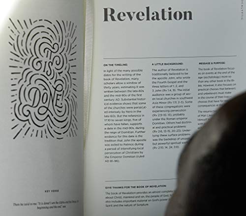 CSB He Reads Truth Bible, Charcoal Cloth Over Board, Black Letter, Wide Margins, Journaling Space, Illustrations, Reading Plans, Easy-to-Read Bible Serif Type - Image 13