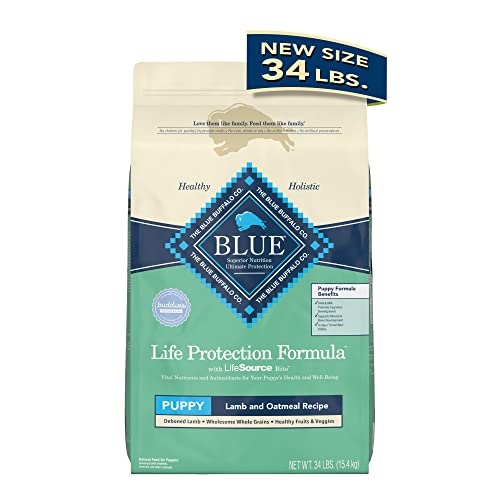 Best Puppy Food for Cane Corso 3 Choices