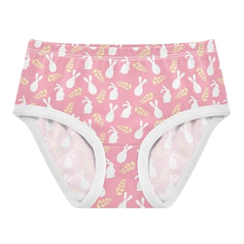 Little Girl Underwear Toddler Panties Kids Undies Rabbit Soft Cotton Briefs 2T-8Y