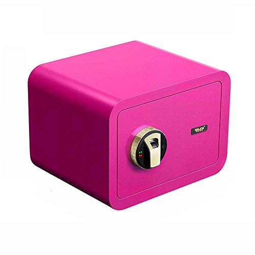 Coffre-fort à empreinte digitale CLSDRZC de 25cm avec clavier invisible