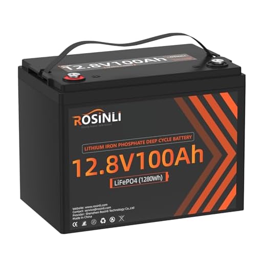 12V 100Ah BCI Group 24 LiFePO4 Battery, Built in 100A BMS, Max. 15000 Deep Cycle Lithium Rechargeable Battery for RV, Trolling Motor, Camping, Marine, Solar, Home Energy Storage