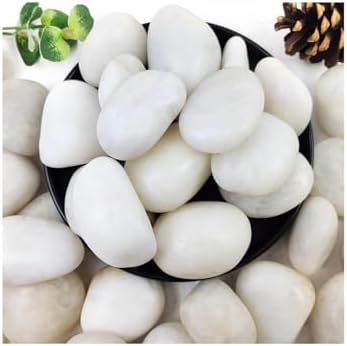 vsell24 5-8cm Extra Large White River Rocks for Landscaping – Natural Pebbles for Indoor Plants, High Polished Decorative Stones for Garden, DIY, Vase Fillers, Fish Tank, and Aquariums (1 KG)