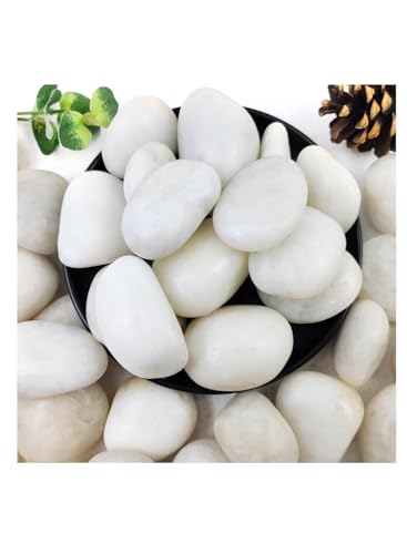 vsell24 5-8cm Extra Large White River Rocks for Landscaping Natural Pebbles for Indoor Plants High Polished Decorative Stones for Garden DIY Vase Fillers Fish Tank and Aquariums (1 KG)