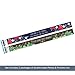 Barker Creek Double-Sided Border Set of 2, Petals & Prickles, Mixed-Design, 35' Each of 2 Designs, 70' of Double-Sided Border Total (3869)