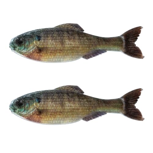 6th Sense Panorama Soft Plastic Bass and Crappie Fishing Lure - Lifelike Body & Realistic Paint - Versatile Rigging Options - Multiple Sizes and Pack Counts (Live Bluegill)