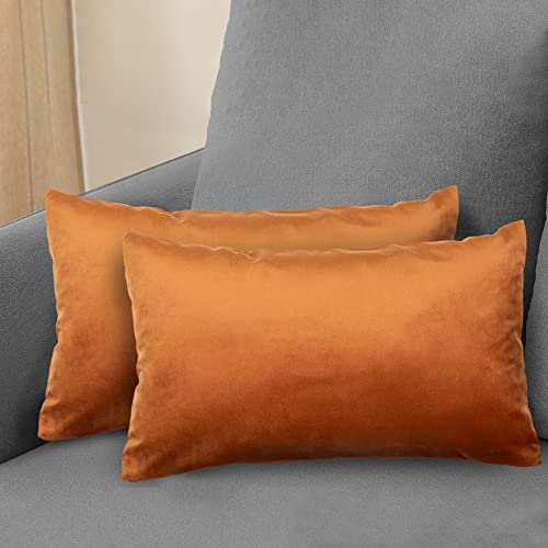 Komfortec Lot de 2 Housses de Coussin décoratives en Velours 30 x 50 cm - avec Fermeture éclair - Orange Cover