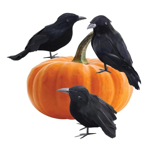 Cuervos de Halloween - 3 Decoraciones de Pájaros Negros para Casa Encantada, Patio, Árbol, Jardín, Interior y Exterior