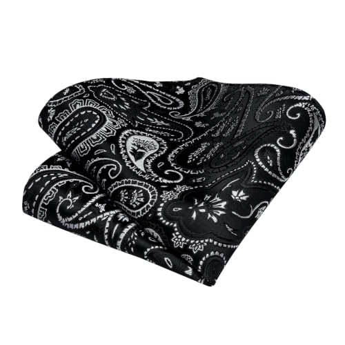 Image of DiBanGu Paisley Ties for Men Silk Necktie and Pocket Square Cufflinks Tie Clip Set Woven Classic Mens Tie for Wedding Party