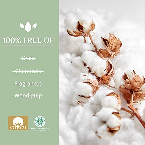 Organyc - 100% Certified Organic Cotton Tampons - Cardboard Applicator, Free from Chlorine, Perfumes, Rayon, and Chemicals - Image 6