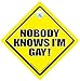 Personne ne le sait m Gay Motif I "Nobody knows I, m Gay Motif voiture Inscription en anglais, Gay Motif" Sticker autocollant pour voiture Bébéà bord, signe Gay Pride-Gay Autocollant de voiture, voiture, blague