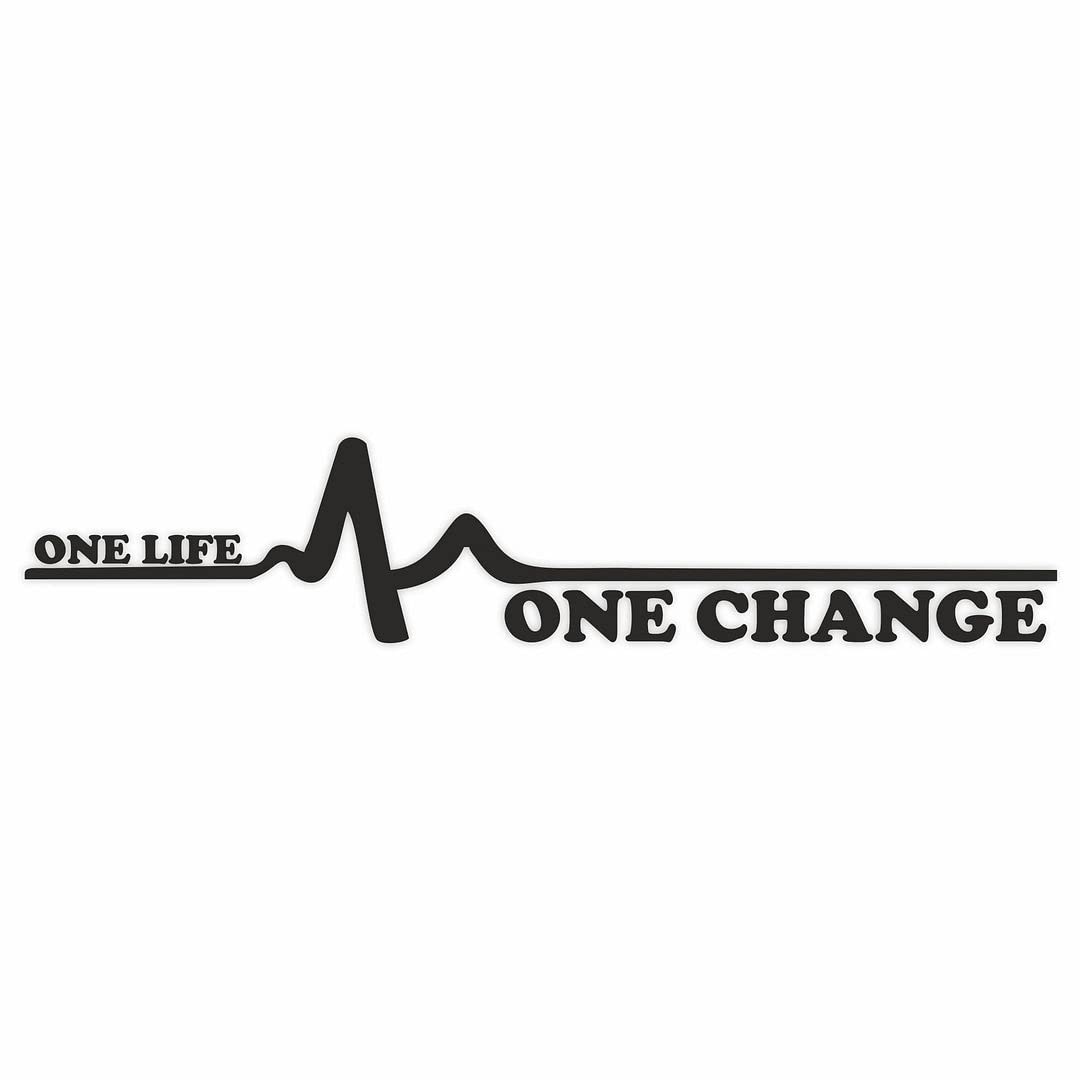 CVANU Black One Life-One Change Nice & Trendy Look Exterior Car Sticker Self-Adhesive, Waterproof Decal Vinyl for All Car Sticker (2Pcs) Size (5.5cm X 28cm)_C46