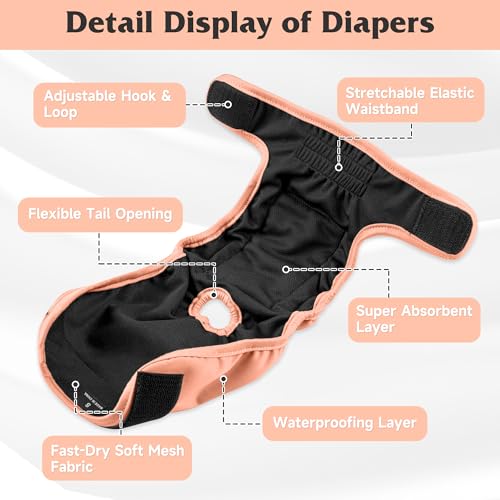 Image of Reusable Female Dog Diaper, Highly Absorbent Doggie Diapers for Dogs, Dog Diapers Female Large, Blue & Pink