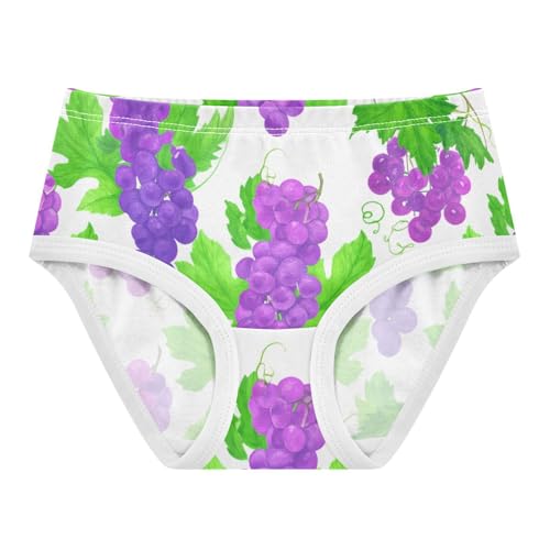 Girls Underwear Toddler 2t Cotton Panties Little Girl Bright Undies Kids Briefs Purple Grape Green Leaves White
