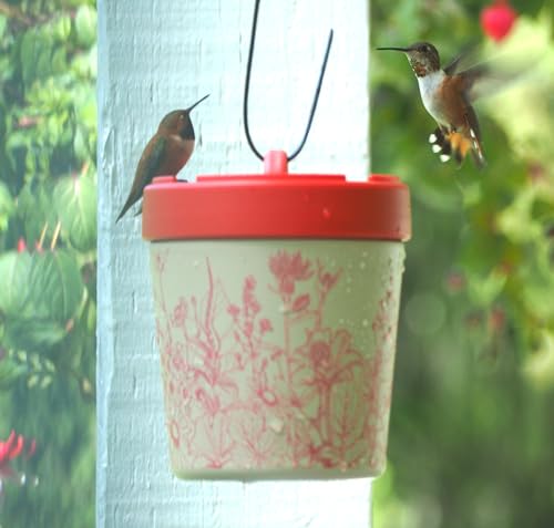 Insulated Hummingbird Feeder Vacuum Technology, Temperature