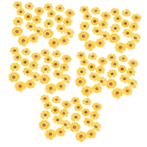 Flores Secas Margarita 120 pcs para Manualidades miniatura 1