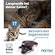 PetTec® Interaktives Katzenspielzeug Elektrisch zur Selbstbeschäftigung - Bewegliche Ratte Maus mit Katzenminze - Interactive Cat Toy - Automatisches Katzenspielzeug - Katzen Spielsachen Spielzeug