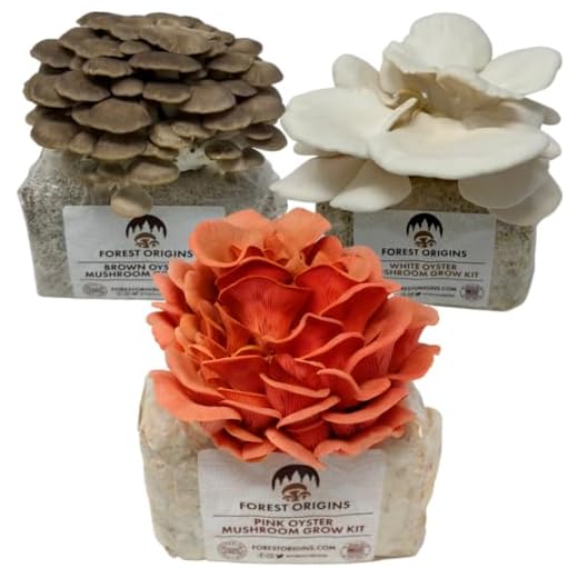Specialty Trio Oyster Mushroom Kit